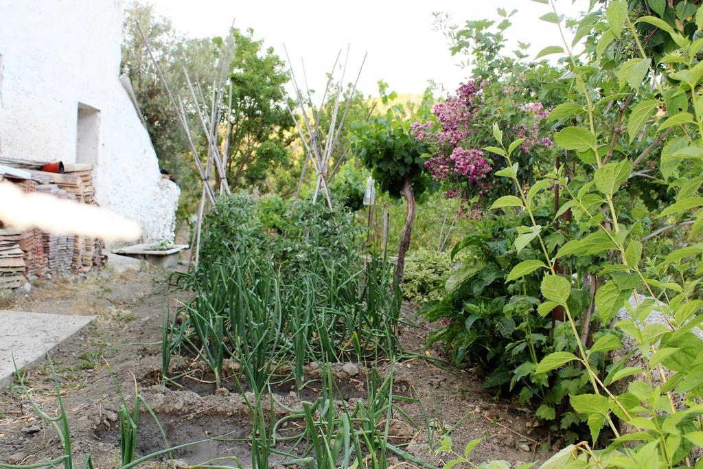 El Ventorro Hospederia Rural Ξενοδοχείο Αλάμα ντε Γρανάδα Εξωτερικό φωτογραφία